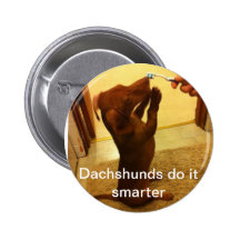 Dachshunds do it smarter pin