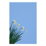 Daffodil Flowers Stationery