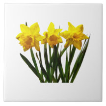 Daffodil Trio Ceramic Tile