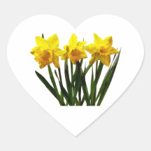 Daffodil Trio Heart Sticker