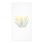 Daffodil Trio Photo Card Template