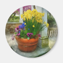 Daffodils and Pansies in Flowerpot Fridge Magnets