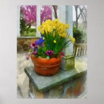 Daffodils and Pansies in Flowerpot Poster
