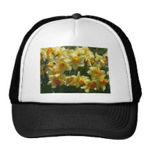 daffodl mesh hats