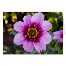 Dahlia, Bee Happy Greeting Card