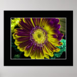 Dahlia Yellow Print