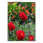 Dahlias for Mother's Day Greeting Card