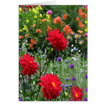 Dahlias for Mother's Day Greeting Card