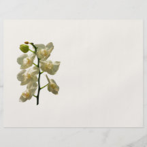 Dainty White Orchids Custom Flyer