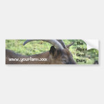 Dairy goat advertising sticker bumper sticker