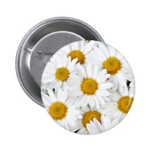 Daisies Button
