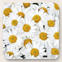 Daisies Drink Coaster