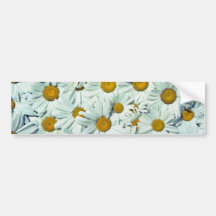 Daisies  flowers bumper sticker