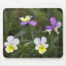 Daisies Mouse Pads