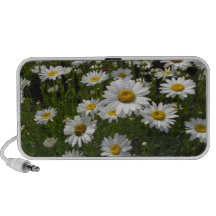 Daisies Speakers