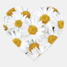 Daisies Stickers