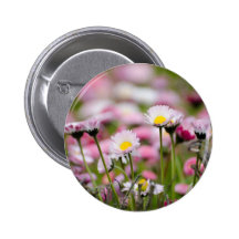 Daisy Blossoms Elegant  Romantic  Wedding Parties Button