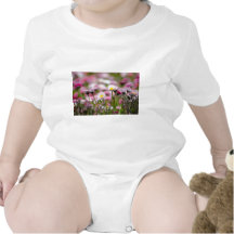 Daisy Blossoms Elegant  Romantic  Wedding Parties Baby Bodysuits