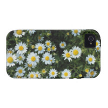 Daisy Case iPhone 4 Cover