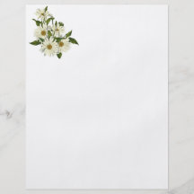 Daisy Cluster Flyers