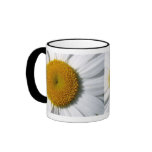 DAISY COFFEE MUGS - DESIGNER KITCHEN ITEMS - GIFTS