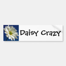Daisy Crazy Bumper Stick Bumper Sticker