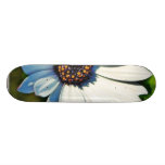 Daisy Daisies Flowers Petals Skate Board Decks
