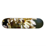 Daisy Daisies Flowers Skate Boards