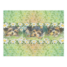 Daisy Dogs Yorkie Puppies Postcard