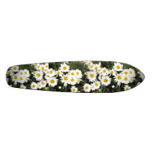 Daisy Flowers on a Skateboard