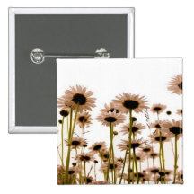 Daisy Pins