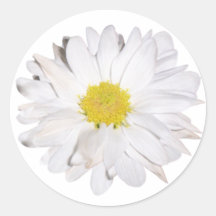 Daisy Sticker