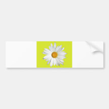 Daisy with Lime Green Background Bumper Stickers