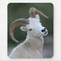 dall sheep mousepad