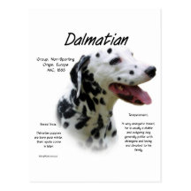 Dalmatian (blk) History Design Postcard