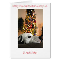 Dalmatian Dog Christmas Card