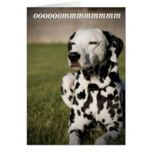 Dalmatian Meditation Greeting Card