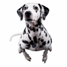 dalmatian sculpture cut outs