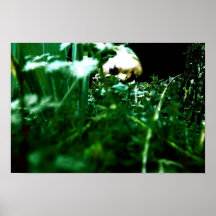Dampness Posters