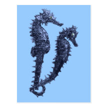 Dance Of The Seahorses (Blue) Post Card
