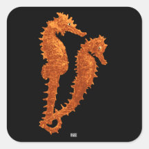Dance Of The Seahorses (Orange) Square Stickers