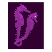 Dance Of The Seahorses (Purple) Postcards