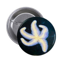 Dancing with the Stars Pins