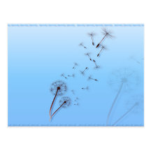 Dandelion on Baby Blue Postcards
