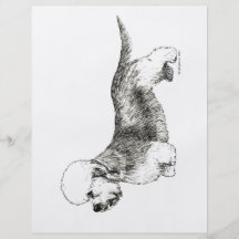 Dandie Dinmont Terrier Custom Flyer