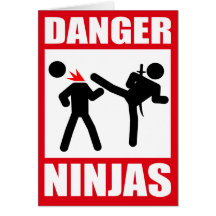 Danger Ninjas Greeting Card
