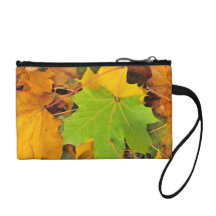 Dare to be different coin purses