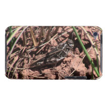 Dark Canyon Utah Insects / Arachnids iPod Case-Mate Case