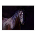 Dark Horse Post Cards