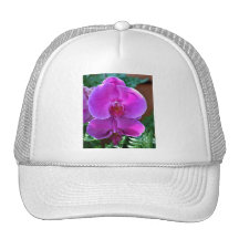 Dark Pink Phalaenopsis Orchid Trucker Hats